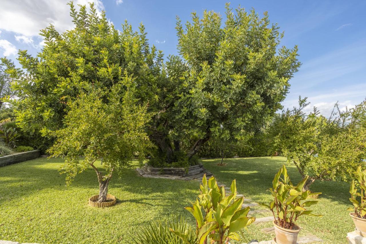 Landsted Finca Can Bosch Family